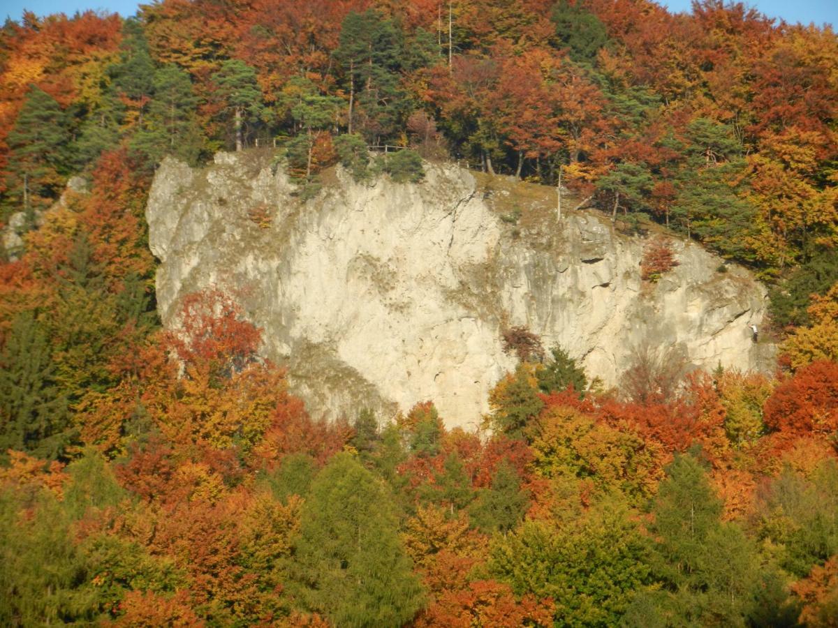 Ferienwohnungen Porisch Egloffstein 외부 사진